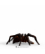 Schleich Harry Potter 13987 Aragog Spielfigur