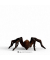 Schleich Harry Potter 13987 Aragog Spielfigur