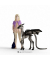 Schleich Harry Potter 42636 Luna Lovegood und Baby Theastral Spielfigur
