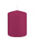 Stumpenkerzen 618315.064 cardinal 80x60mm (HxØ) ca. 29 Stunden Brenndauer