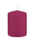 Stumpenkerzen 618315.064 cardinal 80x60mm (HxØ) ca. 29 Stunden Brenndauer