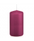 Stumpenkerzen 618317.064 cardinal 120x60mm (HxØ) ca. 40 Stunden Brenndauer