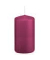 Stumpenkerzen 618317.064 cardinal 120x60mm (HxØ) ca. 40 Stunden Brenndauer