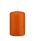Stumpenkerzen 618308.089 aprikose 80x50mm (HxØ) ca. 18 Stunden Brenndauer