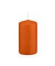 Stumpenkerzen 618317.089 aprikose 120x60mm (HxØ) ca. 40 Stunden Brenndauer