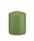 Stumpenkerzen 618315.116 aloe vera 80x60mm (HxØ) ca. 29 Stunden Brenndauer