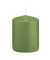 Stumpenkerzen 618315.116 aloe vera 80x60mm (HxØ) ca. 29 Stunden Brenndauer