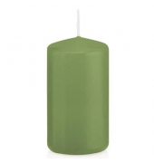 Stumpenkerzen 618317.116 aloe vera 120x60mm (HxØ) ca. 40 Stunden Brenndauer