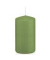 Stumpenkerzen 618317.116 aloe vera 120x60mm (HxØ) ca. 40 Stunden Brenndauer