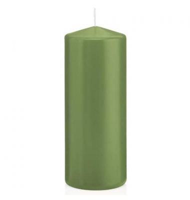Stumpenkerzen 618318.116 aloe vera 150x60mm (HxØ) ca. 54 Stunden Brenndauer