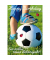 Geburtstagskarten 05-007 Fussball