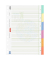 Kartonregister Recycling 1066575, 6-teilig blanko, A4, 240 g/m², 6-teilig