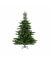 Weihnachtsbaum Everlands Grandis Tanne, 681452, 210x150cm (Hx&Oslash;), gr&uuml;n