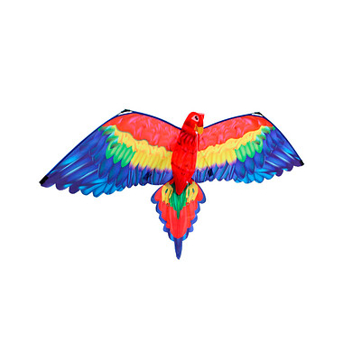 Günther Flugdrachen Cora 3D mehrfarbig