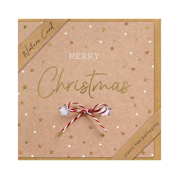 3 x BSB Weihnachtskarte - Nature Card inkl. Umschlag.