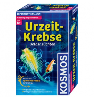Mitbringspiel Experiment Mitbringspiel Mitbringspiel