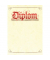 Elefantenhaut A4 Diplom