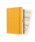 Buchkalender Flair 2024 A5 mango yellow