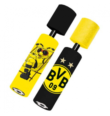 Wasserspritzer BVB sortiert Wasserpistole