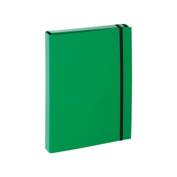 4009212016515 -  Heftbox A4 grün 4009212016515 PAGNA