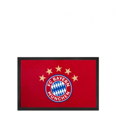 Fußmatte 30054, 40x60cm, rechteckig, für Innen- und Außenbereich