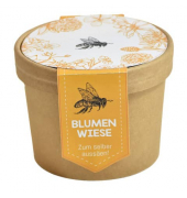 Bienenwiese-Pott zum Aussäen