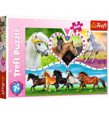 Puzzle Schöne Pferde