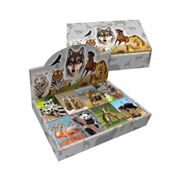 80 Stück PBs Notizblock 1310107-99 Wilde Tiere, Tier, blanko, 6,4x8,25cm, 70g, sortiert, 40 Blatt 9004546515388 PBs