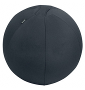 6541-00-89 Sitzball Active Ø 55cm samtgrau