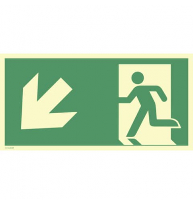 2244373 Schild Notausgang links abwärts