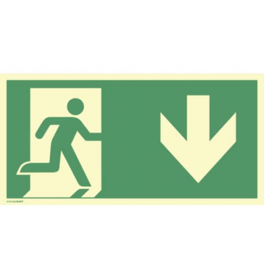 2244388 Schild Notausgang rechts Pfeil unten
