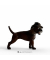 Schleich Harry Potter 13990 Fluffy Spielfigur