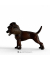 Schleich Harry Potter 13990 Fluffy Spielfigur