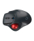 KeySonic™ KSM-6101RF-EGT Maus ergonomisch kabellos schwarz, rot