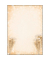 Motivpapier Champagner Motiv DIN A4 90 g/qm