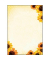 Briefpapier DP129, beige/orange, Sonnenblumen, A4, 90g