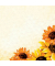 Briefpapier DP129, beige/orange, Sonnenblumen, A4, 90g