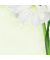 Motivpapier Green Flower A4 90 g/qm