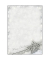 Motiv-Weihnachtsbriefpapier Brilliant Star DP136 A4 90g 