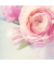 Briefpapier DP004, Rose Garden, A4, 90g