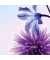 Motivpapier DP903 A4 90g Blue Emotion
