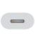 Apple  USB CLightning Adapter