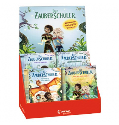9580-0 Buch Der Zauberschüler Bd.1-4 sortiert