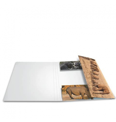 Gummizugmappe 19214, A4 farbig sortiert Karton, mit 3 Einschlagklappen