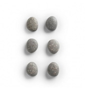 6 Zeller Stone Magnete grau 2,1 x 1,8 x 1,0 cm