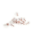 25 Zeller Pinnnadeln Ball transparent Pinnnadeln Pinnnadeln