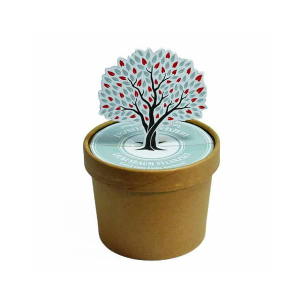 4250144701561 - Wundertüte 41789  Wunschbaum Ø98x7cm in Pott 4250144701561 WUNDERLE