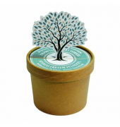 Wundert&uuml;te 41790 , "Wunschbaum", &Oslash;9,8x7cm, in Pott