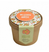 Wundert&uuml;te 41764 , "Bl&uuml;ten f&uuml;rs Brot", &Oslash;9,8x7cm, in Pott