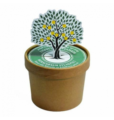 Wundert&uuml;te 41788 , "Wunschbaum", &Oslash;9,8x7cm, in Pott